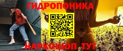 крисы Лесосибирск