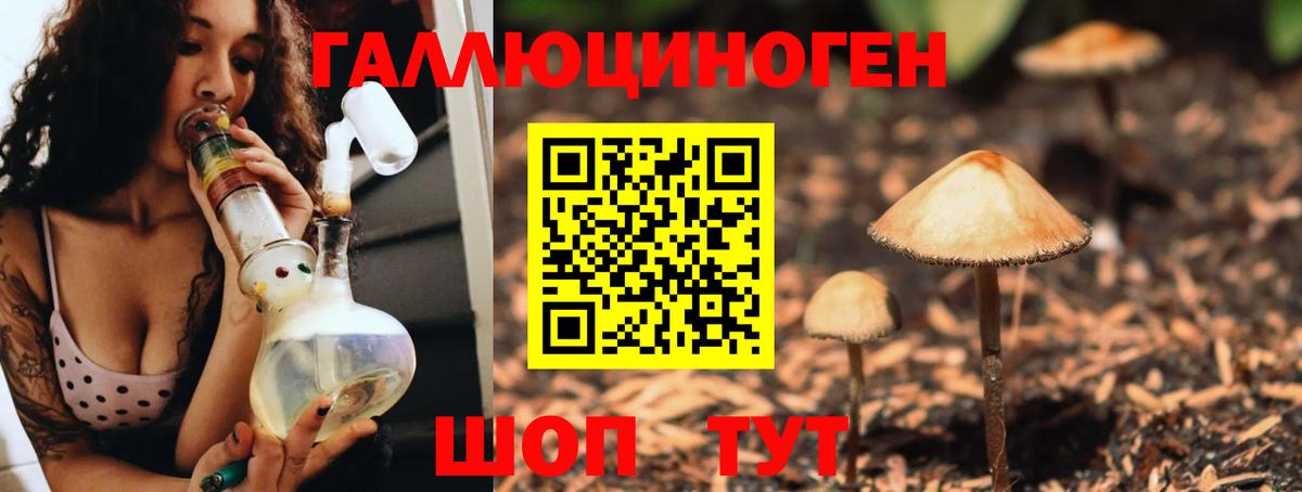 Галлюциногенные грибы GOLDEN TEACHER  Вход с VPN  где купить наркоту  Гусев 