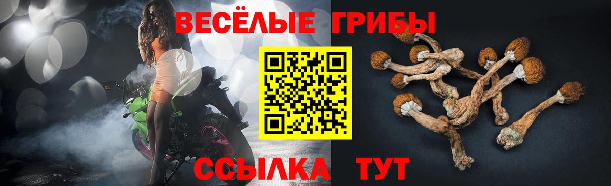 Галлюциногенные грибы Psilocybine cubensis Гусев